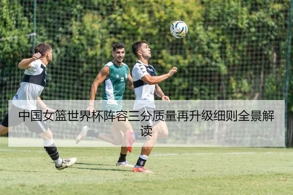 中国女篮世界杯阵容三分质量再升级细则全景解读